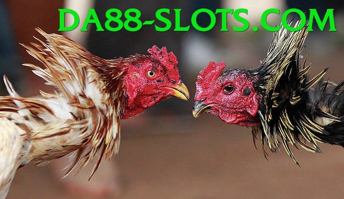 Đá Gà Trực Tiếp - da88 - Game phiêu lưu