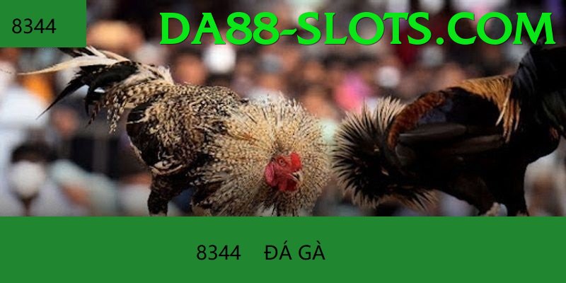 Trường Đấu Đá Gà Chuyên Nghiệp - Sự kiện