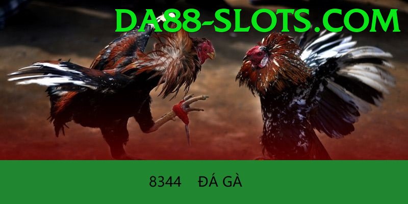 Cách Đọc Kèo Đá Gà - Hỗ trợ